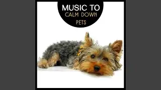 Gentle Bells Music for Dogs