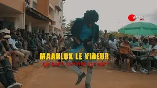 &ccedil;a sort comme &ccedil;a sort colle la petite willy mix  shado serge beynaud dipl&ocirc;me josey