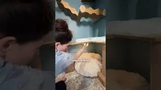 Хозяйка кошки превратила свой шкаф в дом мечты для своего питомца | The Dodo