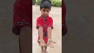 Asdam Gorintaku #shorts #food #gorintaku#ashadam #dml #trendingshorts #viralvideo #earlymorning #dml