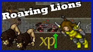 Best exp for knights | Lion's Rock 50+
