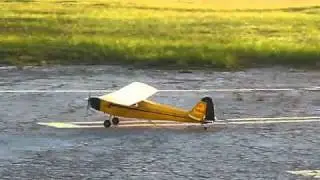 RC Goldberg Piper Cub ~ Electric