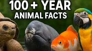250 Facts About Animals That Lived Over 100 Years