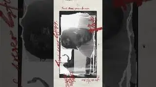 🎶 