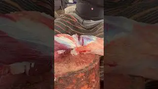 Amazing beef cutting exprience by best knife.