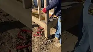 Удаление гвоздей со старых столбов #рабочаяжизнь