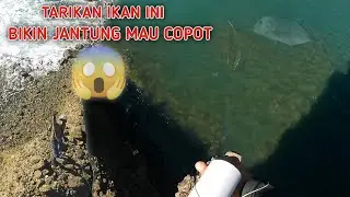 PASER MANIA||MASER IKAN DI LAUT, SENSASI TARIKANNYA BIKIN GEMETARAN!!.part2#pasermania #fishhunting