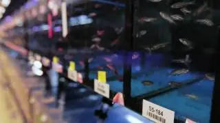 Zon Lab Overview