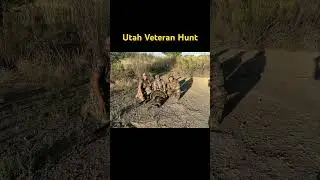 Utah Veteran Hunt #metallica #shorts