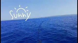 Weekend fishing in Malta