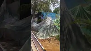 |kota Holi jhaki| भारत में lockdown के दौरान घटी घटनाओं को  कोटा, नयापुरा की झाकी में दिखाया गया।