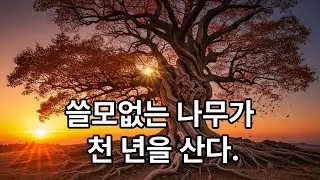 쓸모없다고 버려진 나무가 천년을 산 이유..  나이 들어서야 깨달은 충격적인 진실