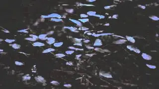 tiny deaths- ever (audio)