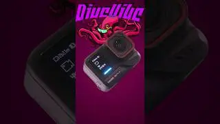Insta 360 Ace Pro 2. BEST low light action camera for cave diving!