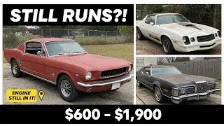These Classic Project Cars Are WAY Cheaper Than They Should Be
