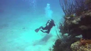 Bermuda - Blue Hole 1C
