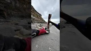 Эта рыхлая глыба сланца скрывала внутри множество конкреций! Конкреции раскрылись, словно жеода! 🤯
