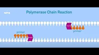 GMO Research Wageningen Food Safety Research_WFSR 2023