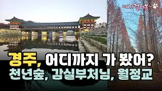 경주의 숨은 보석을 만나 봄 : 월정교, 감실부처님, 애기단풍과 옥룡암, 경북천년숲정원까지 마음이 쉬워가는 길 #월정교 #애기단풍 #옥룡암 #감실부처 #천년숲