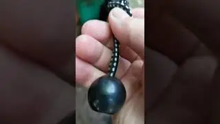 Lot de 10 Clip de Fixation Bache, Tr&egrave;s astucieux kit d'attaches pour b&acirc;ches avec ou sans oeillet  Lo