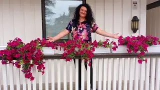 FRULA --  NA TE MISLIM KADA ZORA SVIĆE 😊💝
