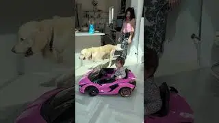 POV: You&rsquo;re Slowly Becoming the Person You Needed 🌿 | soft life vibes #Shorts #funny #viral #fyp