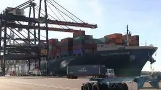Biggest ship to call on JAXPORT arrives at TraPac Jacksonville