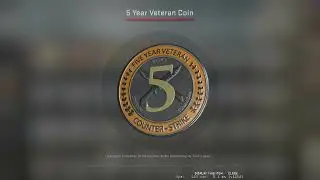 5 Year Veteran Coin | CSGO | RARE COIN