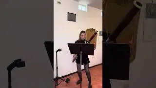 Mozart 1 mvto