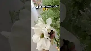 NEW SUMMER DOLLAR TREE SHOPPING 🛍️ #trending