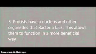 Why are Bacteria more Primitive than Protists?
