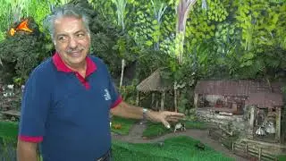 Presépio Sertanejo