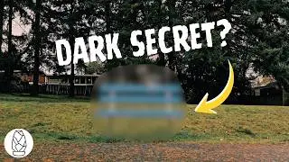 No One Ever Sits On This Bench - So We Made A Documentary About It.