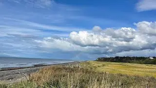 Free Winter Heat: Harvesting coal at the local beach..