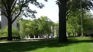 Flight of the Hawks