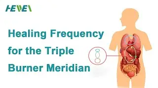 Healing Frequency for the Triple Burner (Triple Warmer) Meridian - Regulate Qi Flow in Your Organs