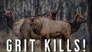 How to Push Through Mentally on Tough Western Hunts | Elk & Mule Deer Hunting Tips