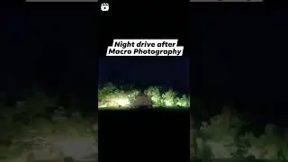 Night drive after Macro photography in Cooling Pond at Bokaro Steel City Jharkhand