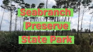 Seabranch Preserve State Park | Port Salerno, Martin County, FL