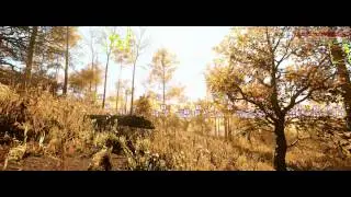 CryEngine 3 Fall Valley V1 - 1080p