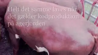 holistisk planlagt afgr&aelig;sning