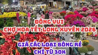 ĐÔNG VUI CHỢ HOA TẾT LONG XUYÊN 2026: Bông đẹp rực rỡ GIÁ CHỈ TỪ 30K, Bông giấy lớn 300k, Me phu thê