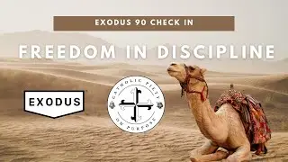 Exodus 90 Check In: Freedom in Discipline