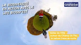 Vallée de Villé : autour du champ du feu, la nature trace sa route !