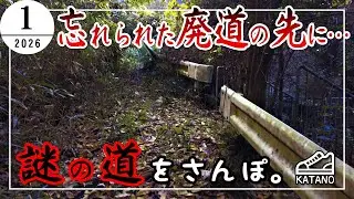 【行先不明】どこに続く？誰も知らない山道！謎の道をさんぽ。