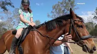 Meet Rachel - Harcourts Solutions Property Investor