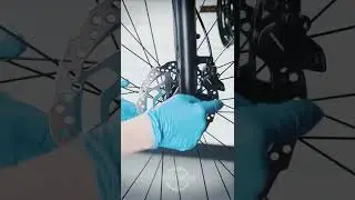 How to prevent squeaking brakes | 360 Cycles Advice