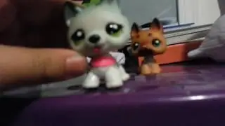 Lps challenge drawing in human blind pick