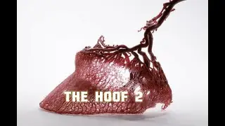 THE HOOF 2 #тренд2024 #хоррор #fashion