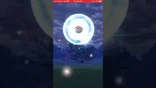 Regice raid